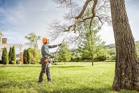 Best Utility Line Clearance  in Navy, VA