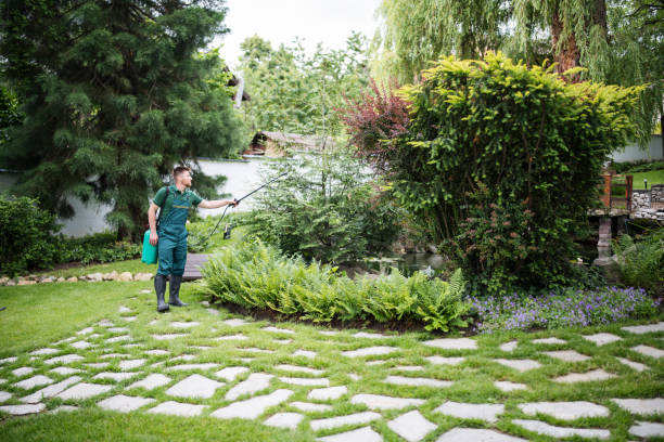 Best Lawn Drainage Solutions  in Navy, VA